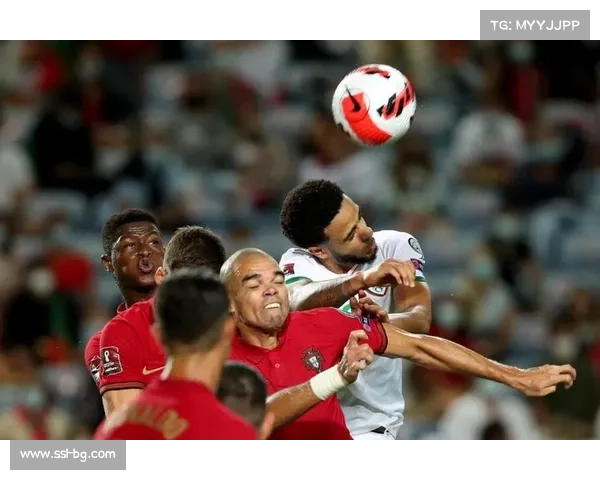 葡萄牙足协投诉爱尔兰草坪质量，欧足联启动调查